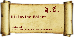 Miklovicz Bálint névjegykártya